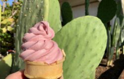 Unique Sweets