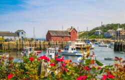 Artist's Haven In Rockport